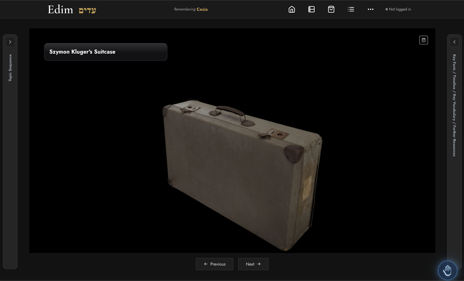 Artifact